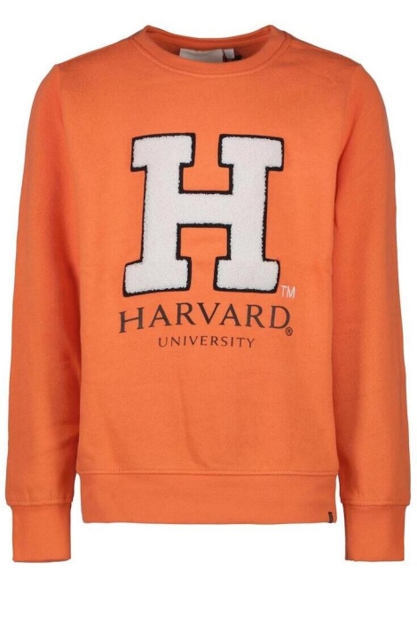 Cars sweater maley